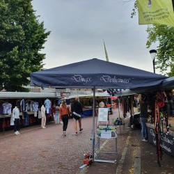 Mavystar Markt Parasol