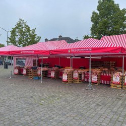 Mavystar Markt Parasol