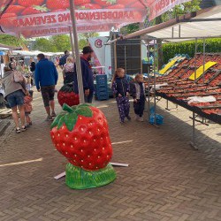 Mavystar Markt Parasol