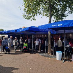 Mavystar Markt Parasol