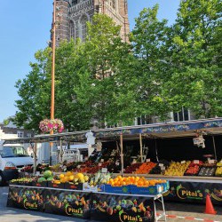 Mavystar Markt Zeil