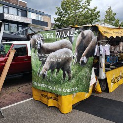 Mavystar Markt Zeil